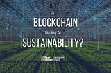 Is Blockchain the Key to Sustainability?