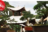 Museu do Bonsai no Brasil