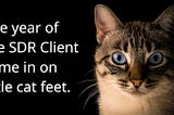 Words the year of the sdr client came in on little cat feet, in bold white lettering, next to a cat face, over a black background.