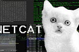 Packet Manipulation with netcat and scapy