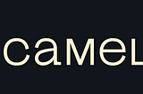 Introducing Camelot as the First Orbital Liquidity Network