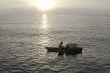 Dwindling Coral Reefs Are Affecting Fish Stocks and Livelihoods on the Kenyan Coast