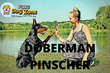 DOBERMAN PINSCHER DOG INFORMATIONDOBERMAN PINSCHER DOG INFORMATION