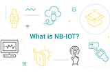 Overview of NB-IoT and it’s Application in IoT