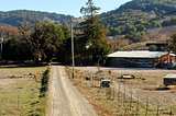 Road crossing a ranch with trees and mountains on the background a few animals to the left and a few human-made structures to the right like a hut a barn and fences. This is just a cool picture of where I live and is not really relevant for the article.