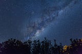 starry night sky above a row of evergreen trees