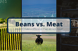 Beans vs Meat: Should We Eat Less Meat?