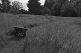 Black and white photograph of filled wheelbarrow on meandering path in wildflower meadow
