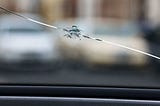 auto glass cracked