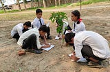 Shree Ma Vi Bijaybasti, Thori-4, Parsa students studying structure of plants