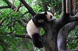 What’s New in Pandas 2.2