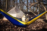 7 Simple Reasons Why You Need to Ditch Your Tent for a Hammock