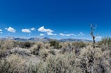 The Eastern Sierra Mountains view from Mono Lake