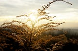 The One Most Profound Thing About Life We Were Never Told