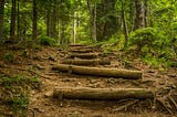 Dirt path on a gentle incline in a green forest with timber logs used a wooden steps.