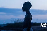 Films About Black Lives by Black Filmmakers