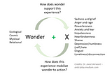 Wonder + X: cosmic connection, difficult emotions, and real social change