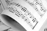 Temel Müzik Eğitimi: Müziği Sıfırdan Keşfet