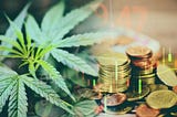 10 questions to ask before starting a cannabis business.