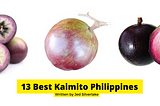 13 Best Kaimito Star Apple Philippines 2022 (w/ Free Discount)