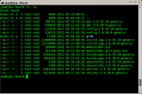 What happens when you type ls -l in the shell?