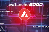 Expand Your Horizons: Avalanche9000 Educational Series