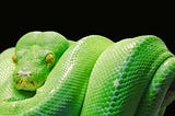 Asynchronous Python at Kumparan