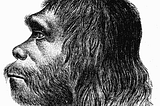 One Day With A Neanderthal