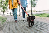 Walking