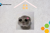 Sad Hamster: The Internet’s Newest Sensation