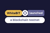WhiteBIT Crypto Exchange Launched a Test Net of its Own Blockchain