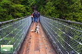 Capilano Suspension Bridge Park in Vancouver, Canada