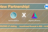 Hermes DeFi partners with Algebra Finance on Polygon