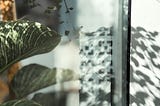 混種・創意論 part 8