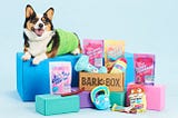Target Marketing: BarkBox