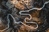 A winding road through valleys from an aerial viewpoint.