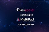 IDO Details for Polkasocial — Social Network + NFT Marketplace