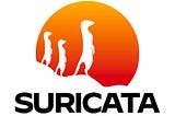 How to detect DDoS Attack by Suricata (or Snort) rules?