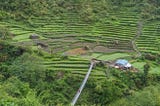 Crop fields in Nepal