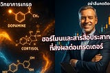 ฮอร์โมนและสารสื่อประสาทที่ส่งผลต่อเทรดเดอร์: มุมมองทางประสาทชีววิทยาต่อการตัดสินใจในตลาดการเงิน