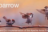 Photography of four sparrows on a branch. Caption is “Sparrow: Modern C++ implementation of the Apache Arrow Format”.