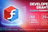 Filenova Developer Grants