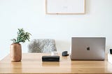 laptop, speaking, plant on wooden desk, home office