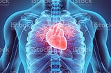 A thorough understanding of the cardiovascular system (CVS)
