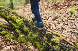 A child is walking on a mossy log in a forest.
