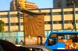 An Object in the street of Cairo , Egypt