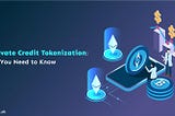 Private Credit Tokenization: All You Need to Know