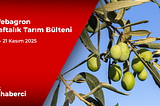 Webagron Haftalık Tarım Bülteni: 17–21 Kasım 2025