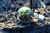 Nurturing Growth and Collaboration with Effective Feedback
