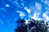 A brilliant blue sky with wispy white clouds and a silhouette of a tree on the bottom right